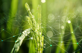 SourceTrace Traceability